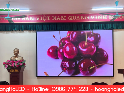 Nghiệm Thu Màn Hình Led Hội Trường, Phòng Họp Tại Tiểu Học Hồng Thái Đông Quảng Ninh 1