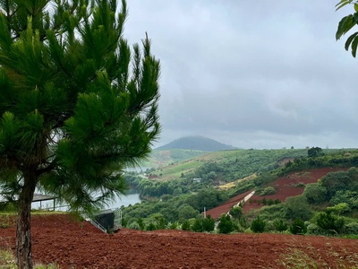 Bán trang trại, khu nghỉ dưỡng view hồ tại ĐT 725, Lộc Ngãi, Bảo Lâm, Lâm Đồng, 900 triệu, 500 m2. 1
