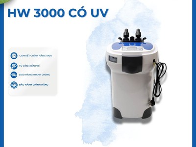 Máy Lọc Hồ Cá Khiến Nước Luôn Sạch   Cá Luôn Hạnh Phúc 2