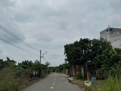 Bán đất vườn bưởi sinh thái Trừ Văn Thố Bàu Bàng 250m , sổ riêng, có thu hoạch, giá tốt 2