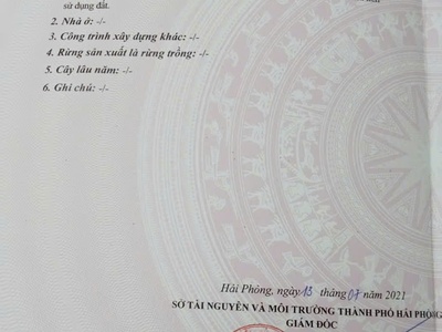 Nhà mặt đường bùi viện gần bến xe vĩnh niệm, 68m 3 tầng, giá 8 tỉ 4