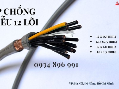Cáp Chống Nhiễu 12 Lõi 0.75mm  Có Sẵn Hà Nội, Hưng Yên Bắc Ninh 0