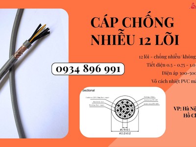 Cáp Chống Nhiễu 12 Lõi 0.75mm  Có Sẵn Hà Nội, Hưng Yên Bắc Ninh 1