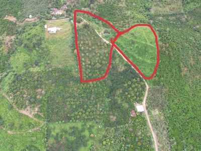 Sở hữu ngay lô đất đẹp - giá tốt - vị trí đắc địa tại thôn tiền yên, lộc đức, xã bảo lâm 2 2