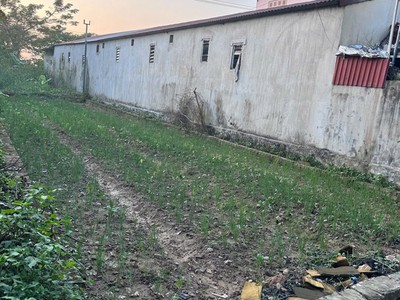 Chính chủ cần bán lô đất đấu giá - Sát khu đô thị Hà Phong, khu công nghiệp Quang Minh, khu đô thị C 2