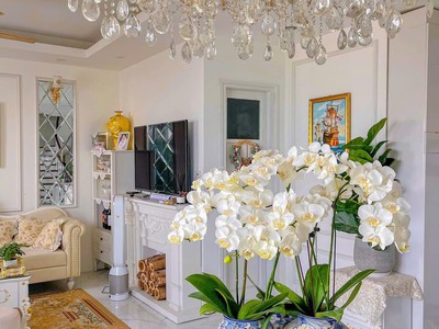 Nội thất 5 sao, chung cư m5 văn công phố trần vỹ 128m 3pn ngập tràn ánh sáng 4