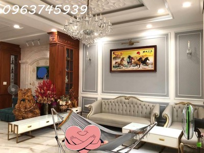 Biệt thự phố ngang 7m tuyệt đẹp, 120m2, 4 tầng, nội thất gỗ đỏ, hiệp bình chánh, thủ đức, 16.6 tỷ 3