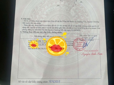 Lô đất 98,1m full thổ cư tại tân yên, trường yên, chương mỹ, hà nội 2