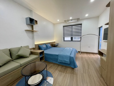 Cho thuê căn hộ tầng 3 1 p.ngủ  40m2  Waterfront City. 0