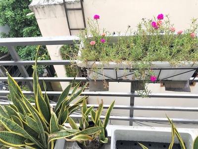 Bán nhà căn số 1 đường xóm chiếu,cách hẻm xe hơi 10 bước chân, sát mặt tiền 3