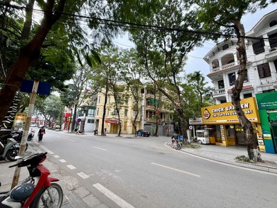 Chính chủ cho thuê nhà mặt phố trần nguyên đán 3