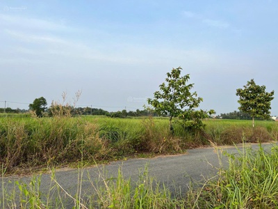 Chỉ 780 tr - 100 thổ - shr xây dựng tự do kdc nam phong dragon, tl 826, tân trạch, cần đước 2