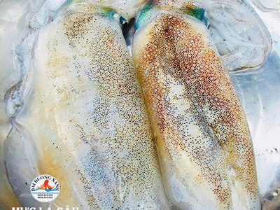 Cách Chọn Mực Lá Tươi Ngon Chuẩn Cho Người Tiêu Dùng 0