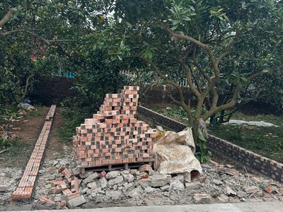 Đất chính chủ - giá tốt - vị trí đẹp tại trung trâu, đan phượng - đường thông, oto đỗ cửa 3