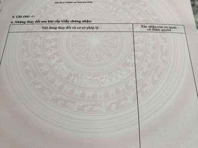 Diên sơn mặt tiền đường gò đại oto quay đầu. 3