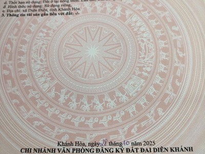 Diên sơn mặt tiền đường gò đại oto quay đầu. 2