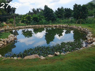 Cần bán siêu phẩm đất thổ cư 13.000m2 ngay tại trung tâm xã châu pha , có suối bao quanh 3