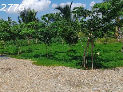 Cần bán siêu phẩm đất thổ cư 13.000m2 ngay tại trung tâm xã châu pha , có suối bao quanh 2