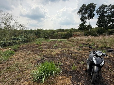 Bán đất cẩm mỹ   đồng nai  gần sân bay long thành 0