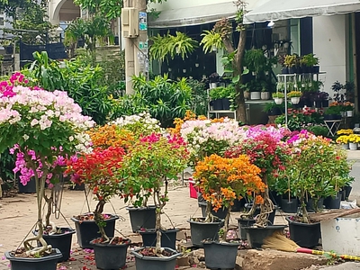 Nhà mới 4 tầng btct ở ngay khu vip bông sao q8 3