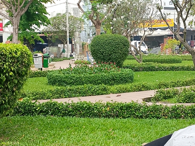 Nhà mới 4 tầng btct ở ngay khu vip bông sao q8 4