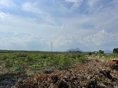 Bán 4 sào đất tân bình - lagi chỉ 300tr/ 1000m2 cách trung tâm lagi 3km 1