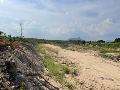 Bán 4 sào đất tân bình - lagi chỉ 300tr/ 1000m2 cách trung tâm lagi 3km 4