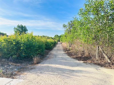 Bán 8.3 sào đất tân hà - hàm tân giá ngộp chỉ 1 tỷ đường ô tô 4