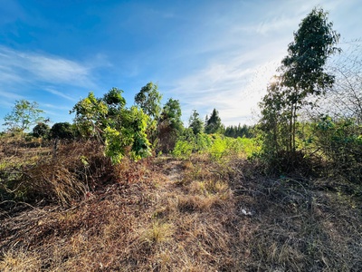 Bán 8.3 sào đất tân hà - hàm tân giá ngộp chỉ 1 tỷ đường ô tô 2