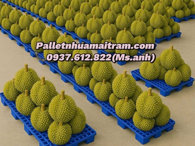  Pallet Nhựa Kê Kho Bền, Đẹp, Giá Rẻ - Chỉ Từ 100K Tại Long Thành   4