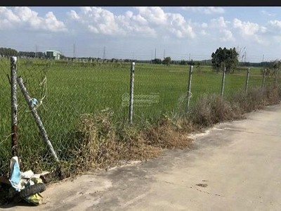 6 lô vila vĩnh thanh hàng f0 vừa phân lô từ 400m2 có thổ cư giá từ 8tr/m2 giảm ngay 3 tỷ mua sỉ 3