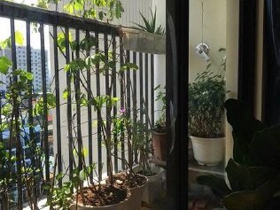 Chính chủ cần bán căn hộ 2n2wc tầng trung ct1 chung cư home, 987 tam trinh, hoàng mai, hn 0