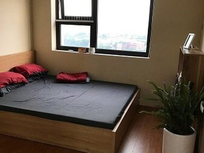 Chính chủ cần bán căn hộ 2n2wc tầng trung ct1 chung cư home, 987 tam trinh, hoàng mai, hn 2