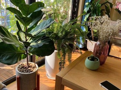 Chính chủ cần bán căn hộ 2n2wc tầng trung ct1 chung cư home, 987 tam trinh, hoàng mai, hn 1