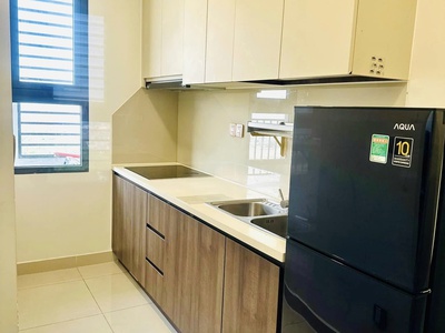 Cho thuê căn hộ 2 phòng ngủ nguyễn lương bằng , quận 7 full nội thất 3