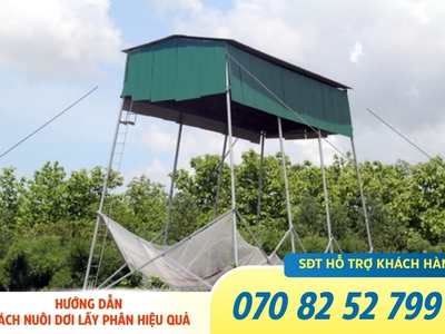 Cách thu hút dơi hiệu quả nhất với máy gọi dơi 1