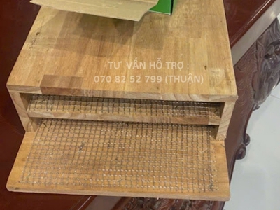 Cách thu hút dơi hiệu quả nhất với máy gọi dơi 2