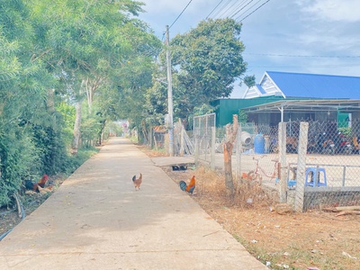 1300m2 hẻm đối diện trường cấp 3 hoàng hoa thắm, n thôn hạ, đức trọng cũ, lâm đồng 2