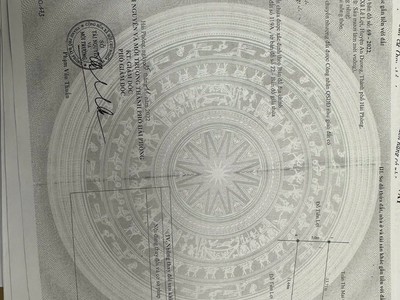 Siêu đẹp 65m2 Lương Quy Lê Lợi An Dương Hải Phòng 1