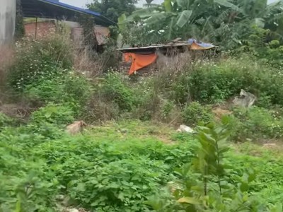 Siêu đẹp 65m2 Lương Quy Lê Lợi An Dương Hải Phòng 3