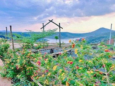 Cơ Hội Sở Hữu Khu Nghỉ Dưỡng Lý Tưởng Tại LỘC NGÃI, BẢO LÂM 6