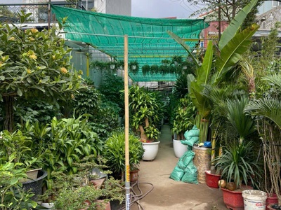 Bán đất mặt đường hoàng minh thảo - 57m - đang cho thuê - vị trí vip 0