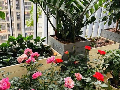 Chcc 3pn chung cư báo nhân dân   lô góc   95,6m    7.7 tỷ phố trịnh văn bô 0