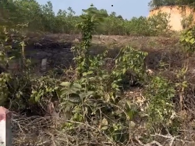 Bán lô đất đẹp   giá đầu tư tại gia lâm, ninh bình 0