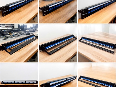  Thanh đấu nối quang 24 cổng SC/LC   Patch Panel SC LC 24 cổng PicoLink 0