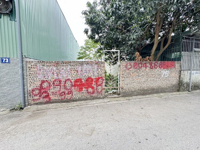 Chủ Gấp Rút Xây Nhà Cho Con - Bán Gấp 46,6m2 Lô Góc Hoa Hậu Đông Dư - Sát Cầu Thanh Trì 3