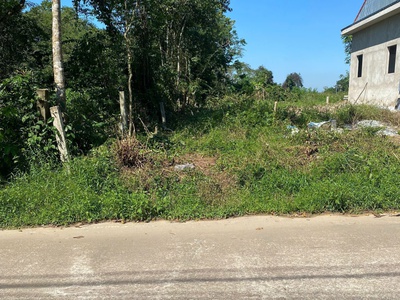 Đất Mặt tiền Vũ Ngọc Phan Cơ hội đầu tư cực tốt 1