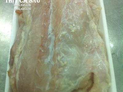 Thịt Cá Sấu Phi Lê Là Gì Vì Sao Ngày Càng Được Ưa Chuộng 0