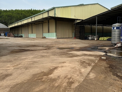 Cho thuê đất và nhà xưởng   VĨNH TÂN, VĨNH CỬU, ĐN   5.000m 0