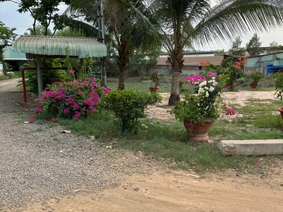 Cho thuê đất và nhà xưởng   VĨNH TÂN, VĨNH CỬU, ĐN   5.000m 1